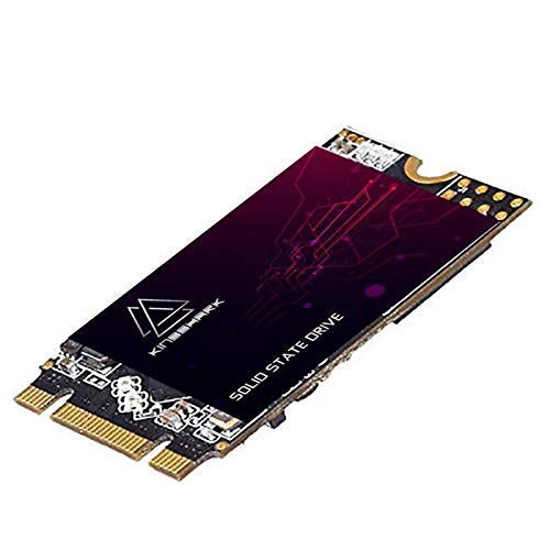 Kingshark gamer Kingshark M.2 2242 SSD 256GB Ngff Internal Solid State Drive High-Performance Hard Drive for Desktop Laptop SATA III 6Gb/s Includes SSD (256GB, M.2 2242)
